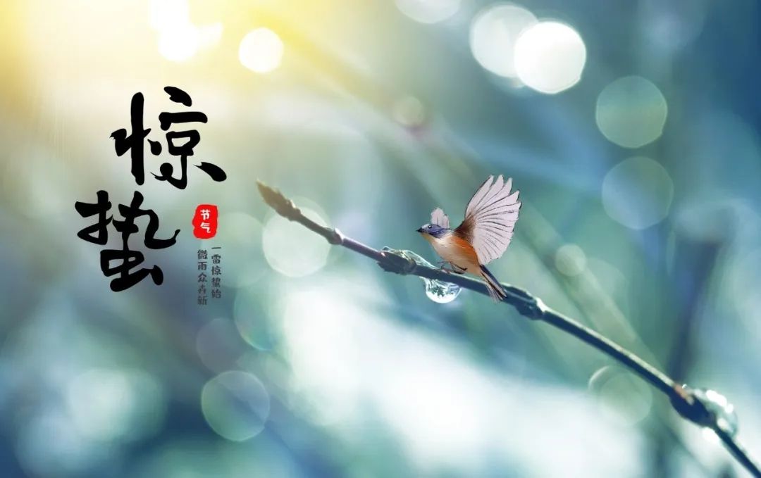 惊蛰：万物复苏，不负春光不负你