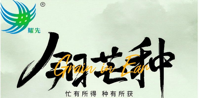 芒种遇世界环境日 | 耕耘希望，守护蔚蓝：耀先环境与您共赴绿色之约