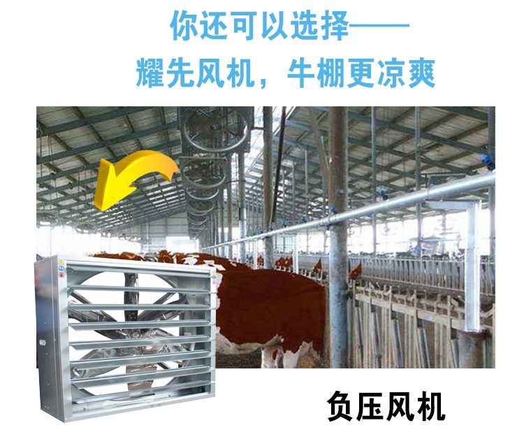 牛舍通风降温方案2