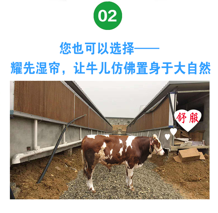 牛舍通风降温方案3