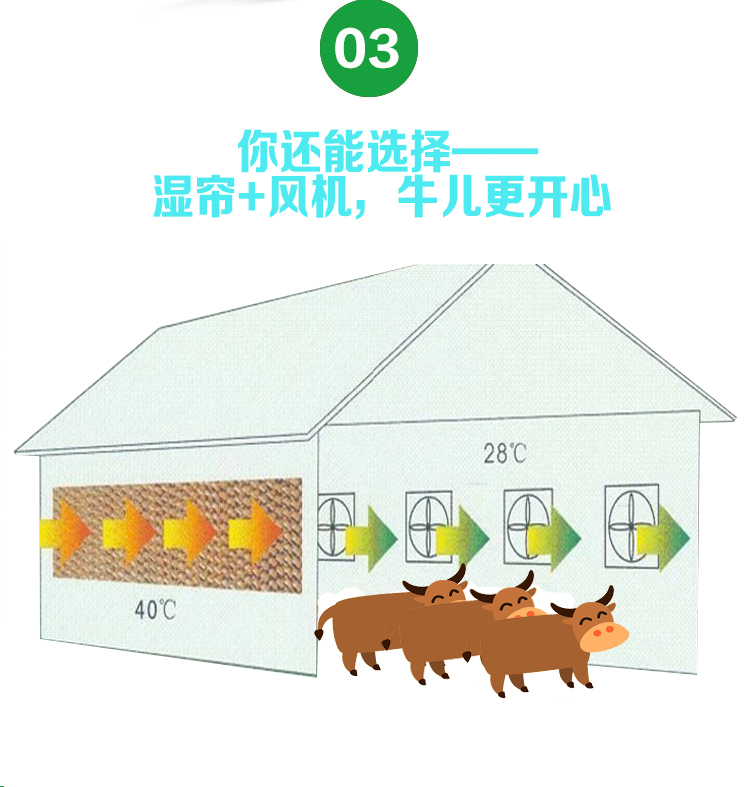 牛舍通风降温方案