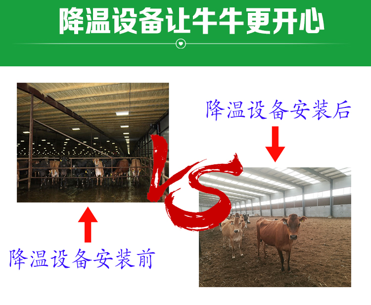 通风降温效果对比
