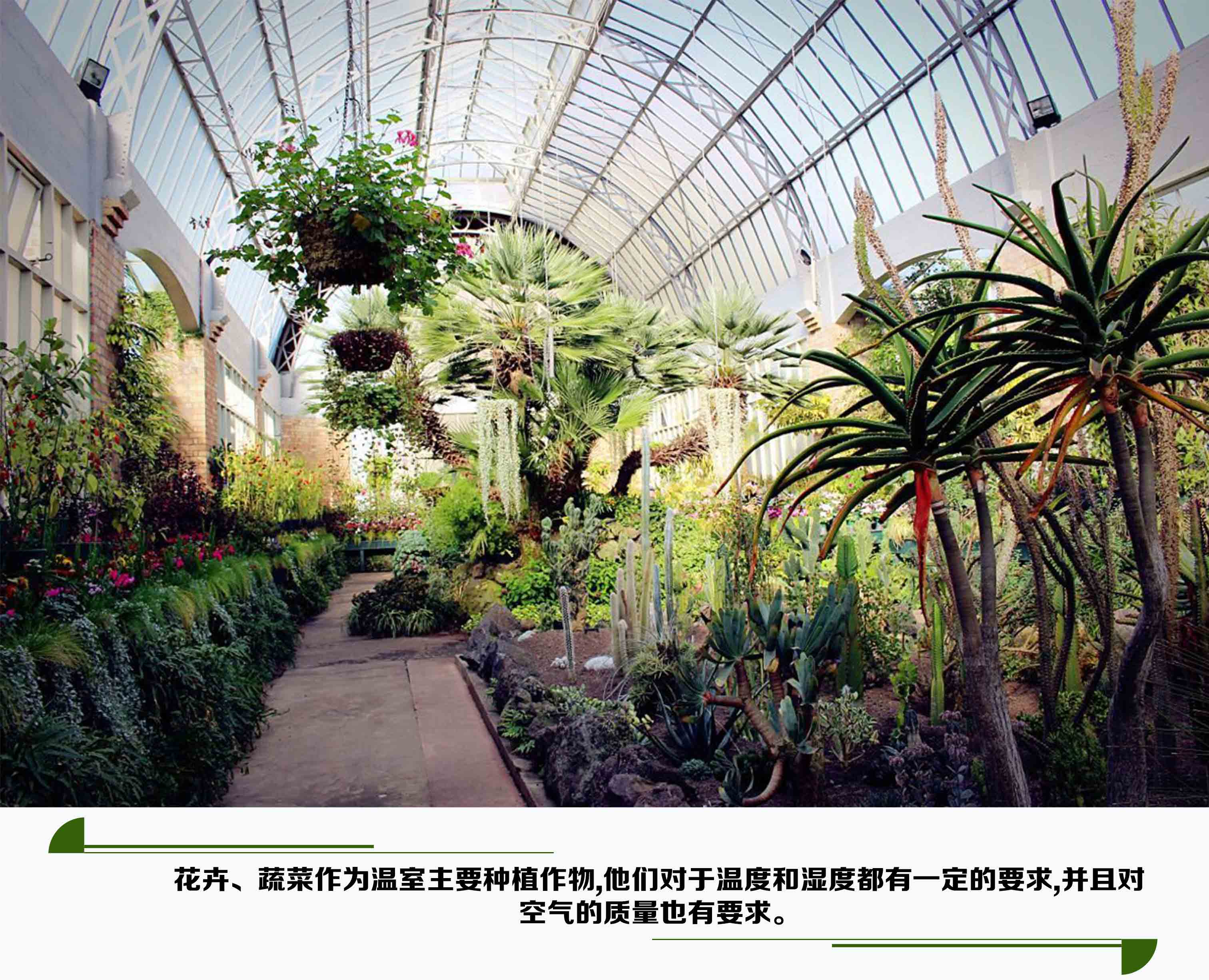花卉通风降温方案
