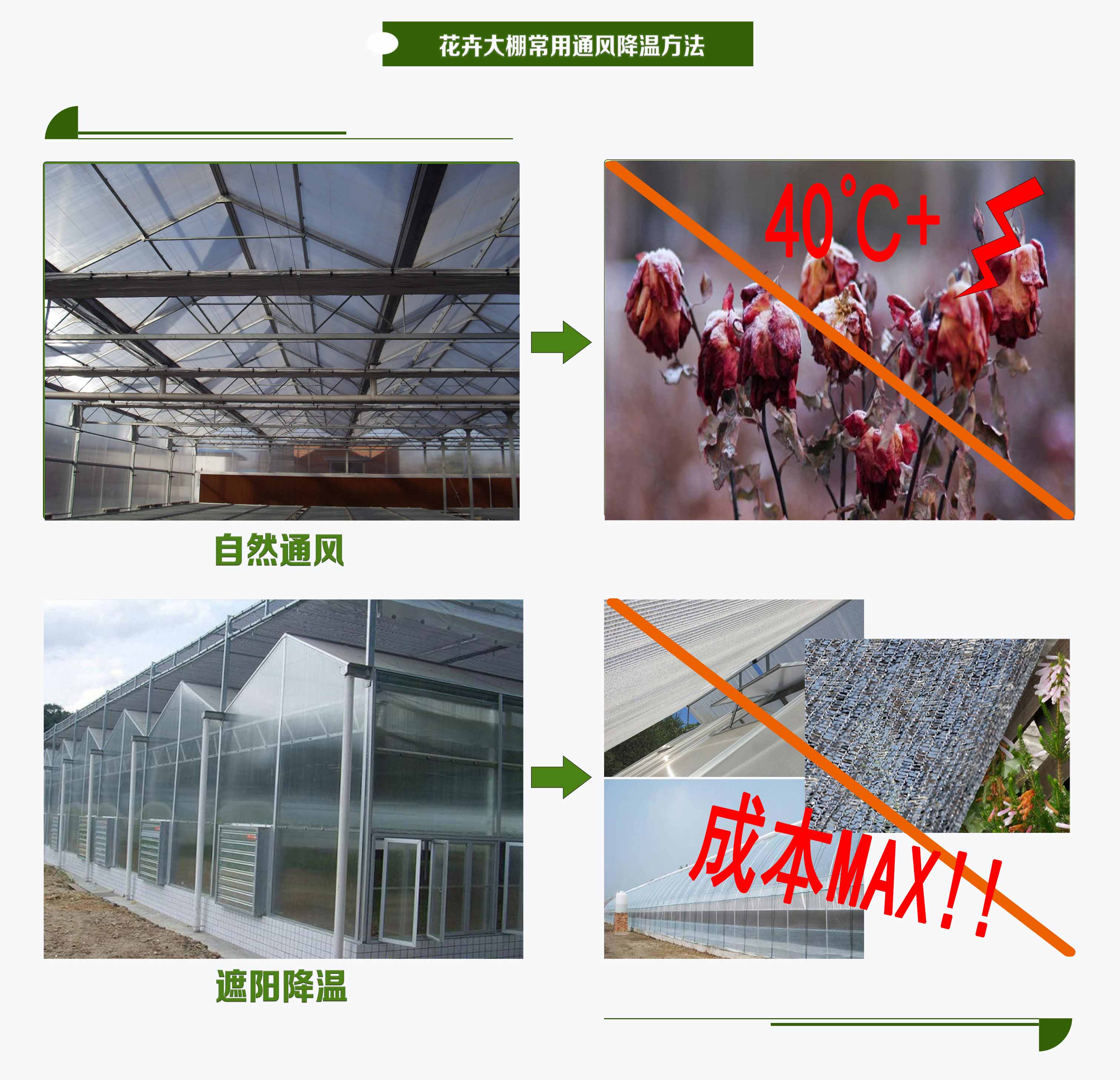 花卉通风降温方法