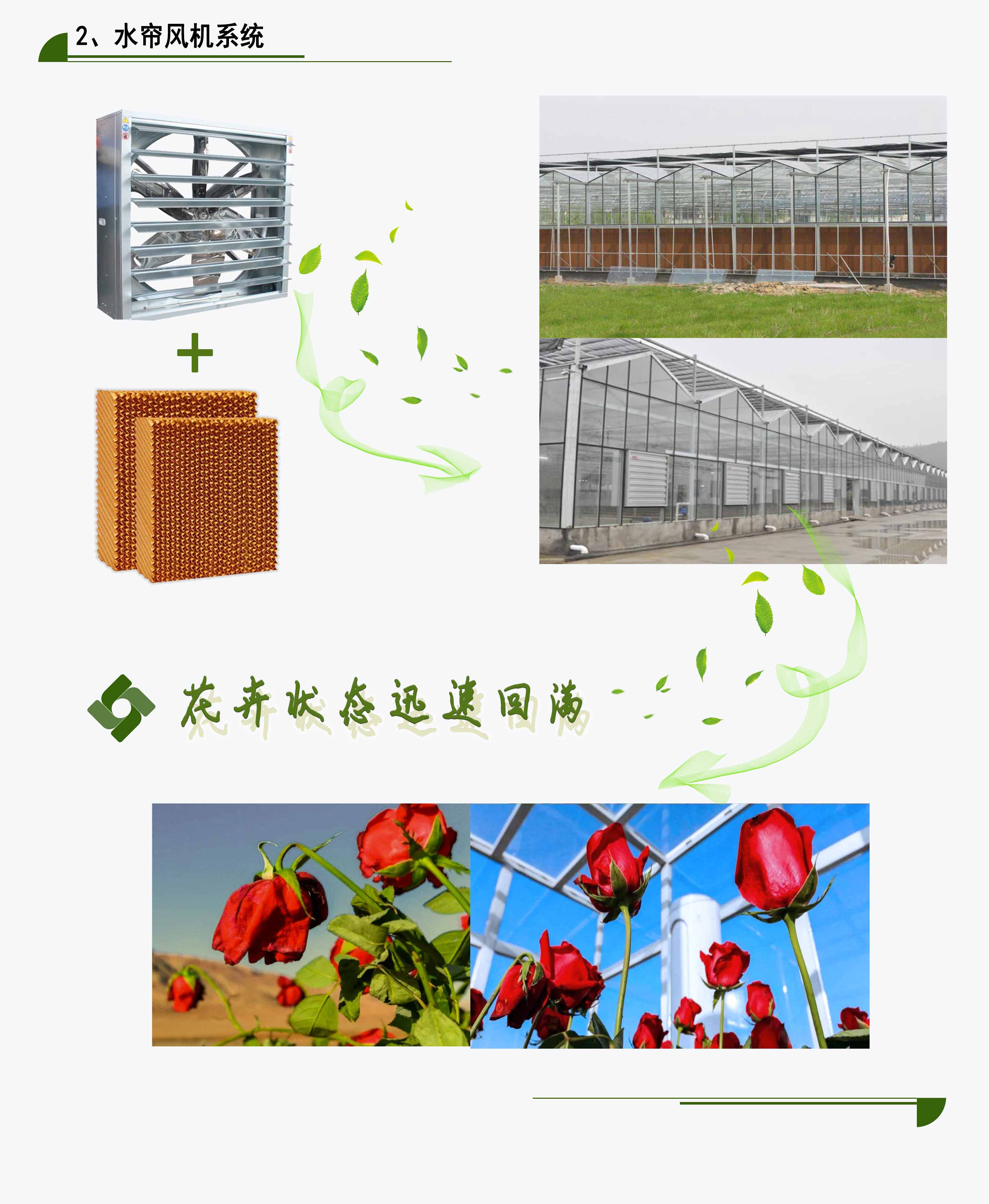 花卉通风降温方案2