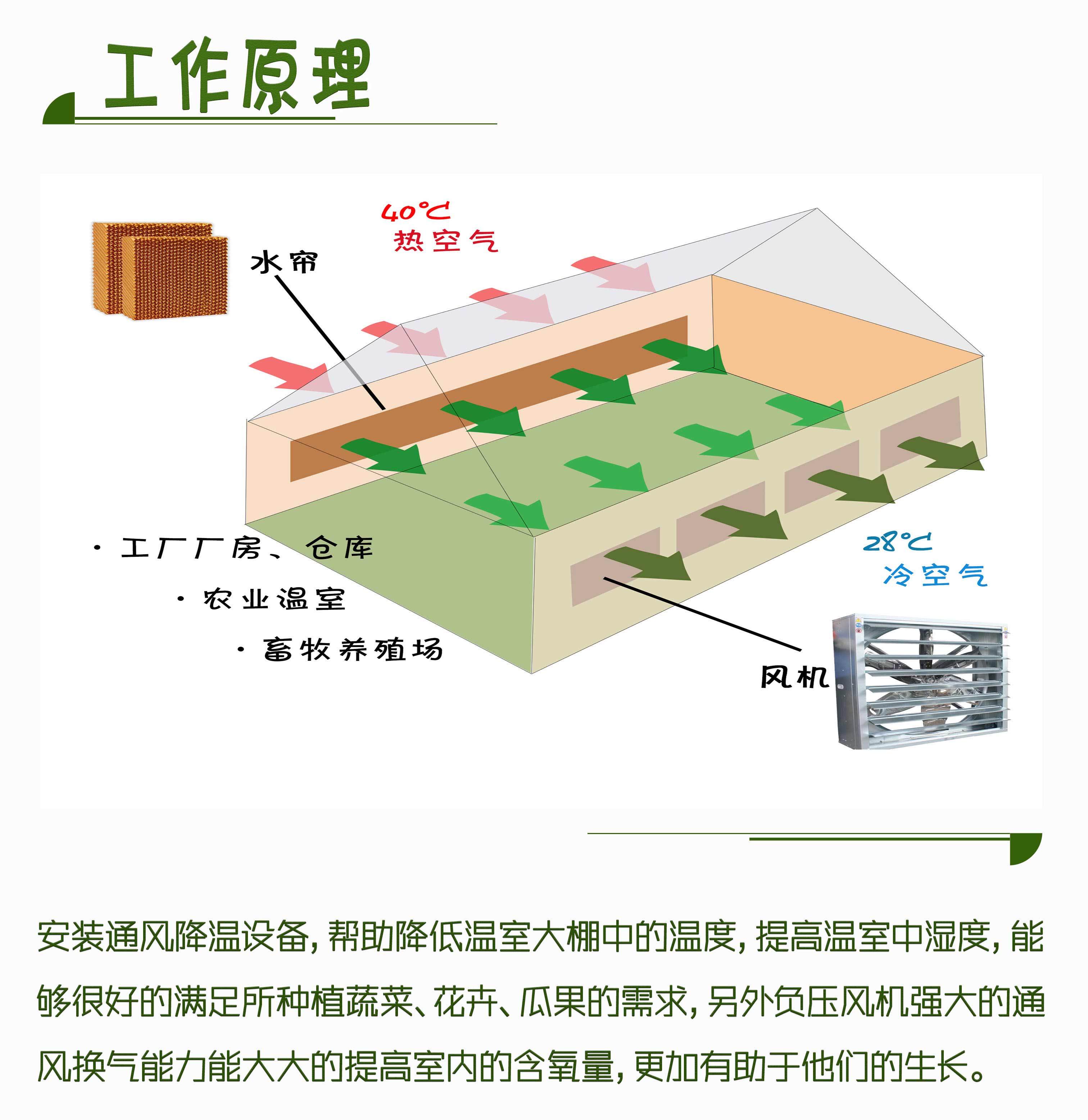 花卉通风降温方案原理