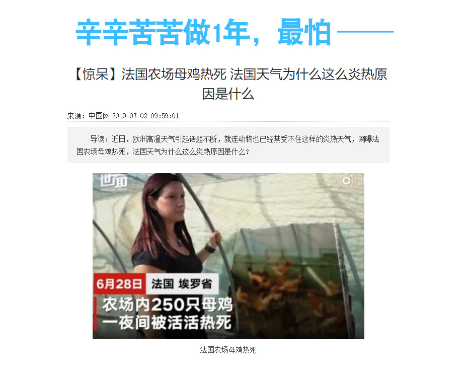 国外鸡舍通风降温问题