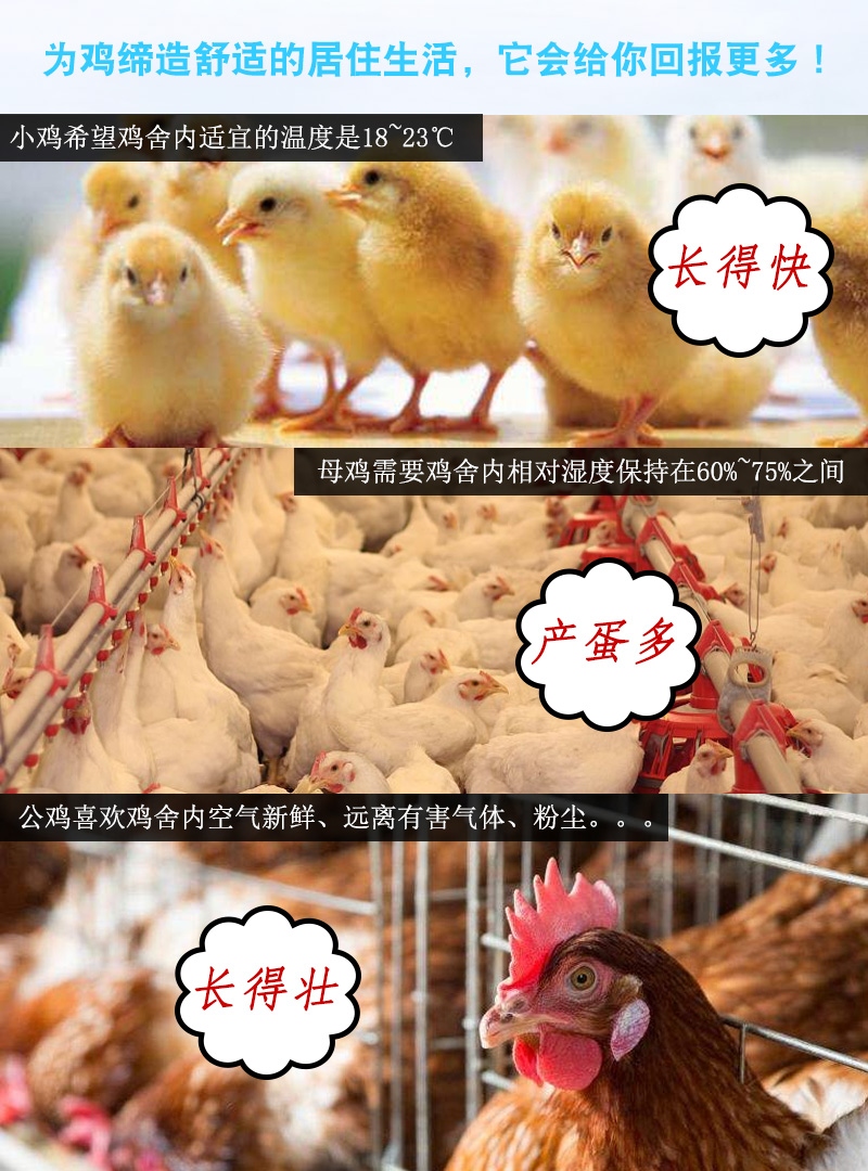 鸡舍通风降温好处