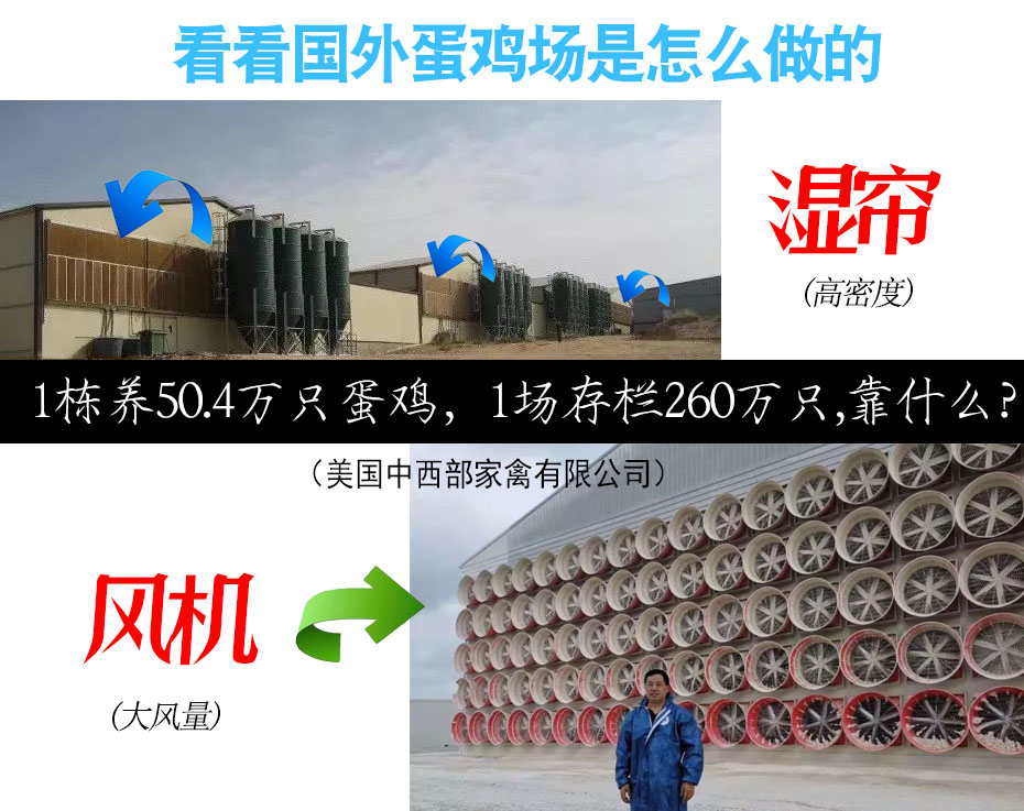 国外鸡舍通风降温方案