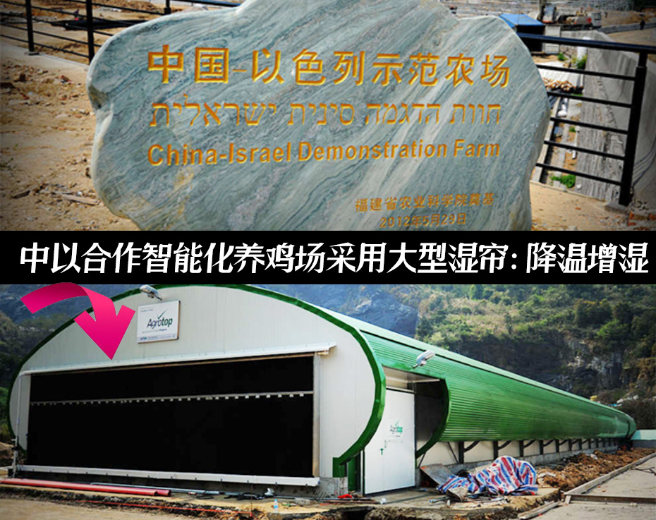 中外合作鸡舍通风降温方案