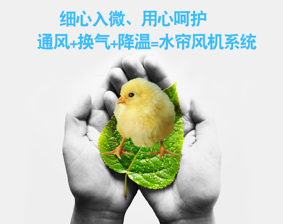 耀先水帘风机呵护你