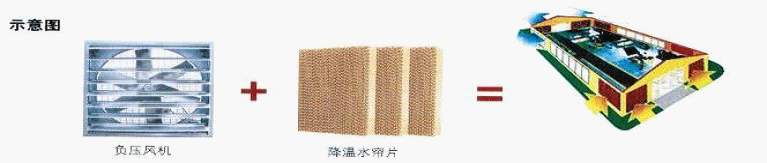 环保无味本色湿帘