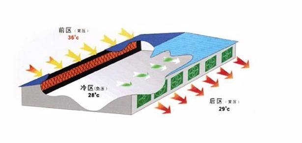 环保无味本色湿帘