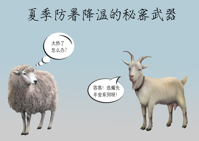 羊舍通风降温方案