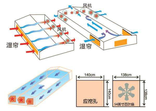 羊舍通风降温方案