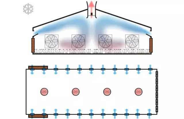 禽畜通风降温方案