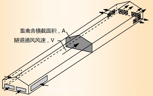 猪舍通风降温方案