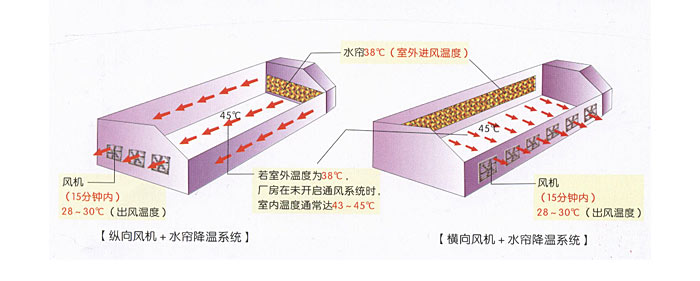 大棚通风降温方案