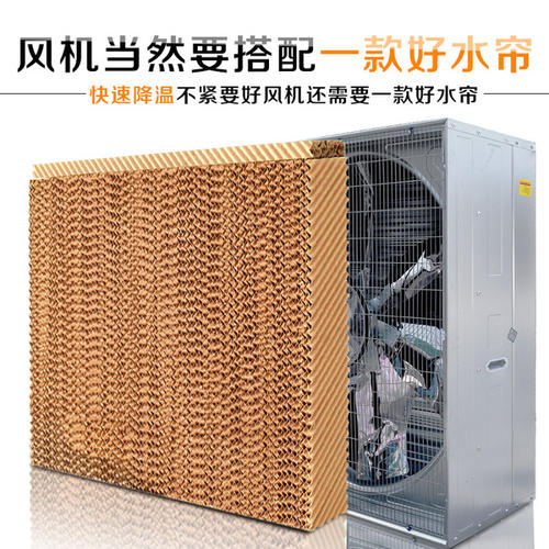 大棚通风降温方案